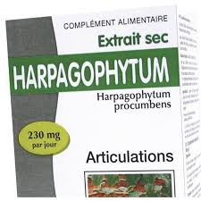 Extrait sec Harpagophytum AB - 60 comprimés - Biotechnie 1