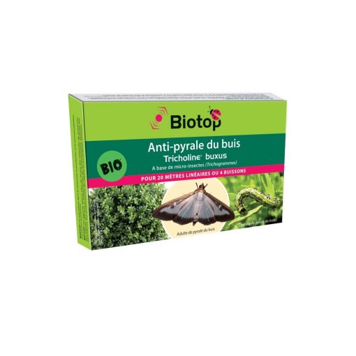 Anti-pyrale du buis Tricholine Buxus - Biotop 1