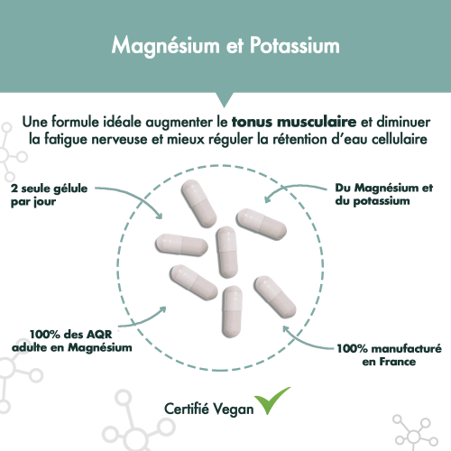 Magnésium + Potassium aRgalys 2